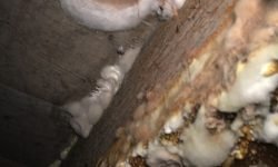 IMG_2927 IMG_2927